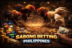 cockfighting betting